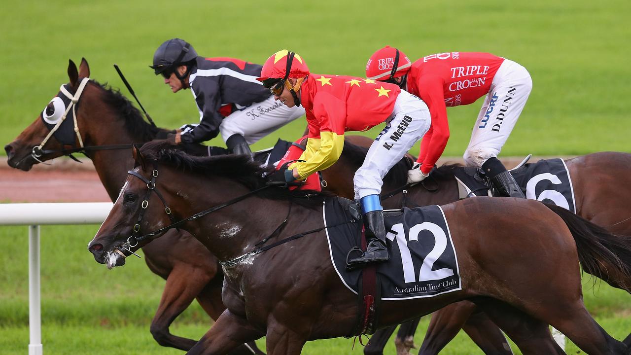 2017 Golden Slipper Day