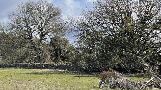 The property will be subdivided into seven lots. An old home can be seen from the roadside on the land. Picture: Supplied