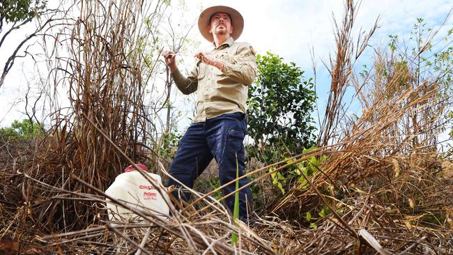 Weed Management Branch Program Manager Chris Collins. Picture Katrina Bridgeford.