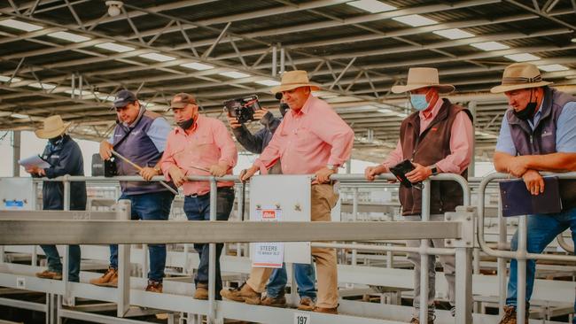 Agents take bids at Ballarat. Picture: Madeleine Stuchbery