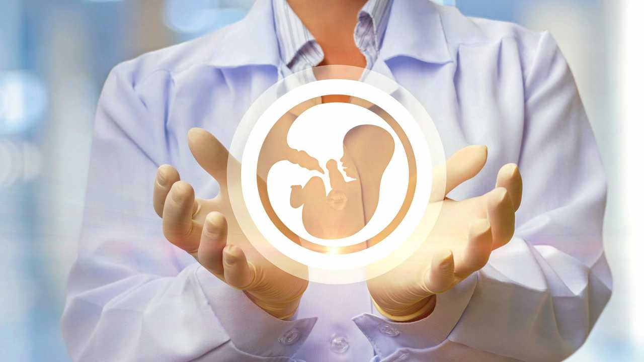 In the doctor's hands, the icon of the embryo on blurred background. Picture: Natali_Mis