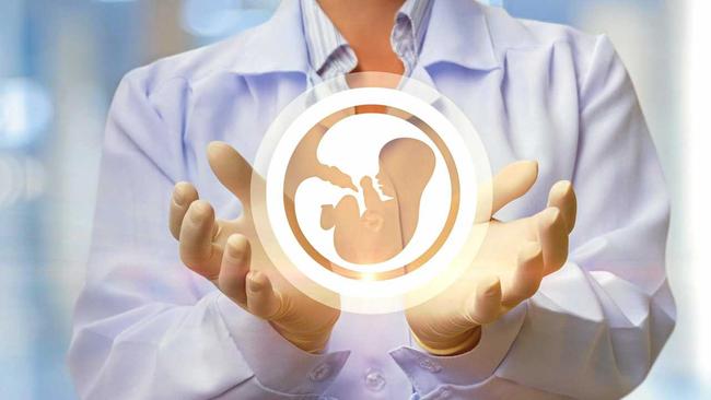 In the doctor's hands, the icon of the embryo on blurred background. Picture: Natali_Mis