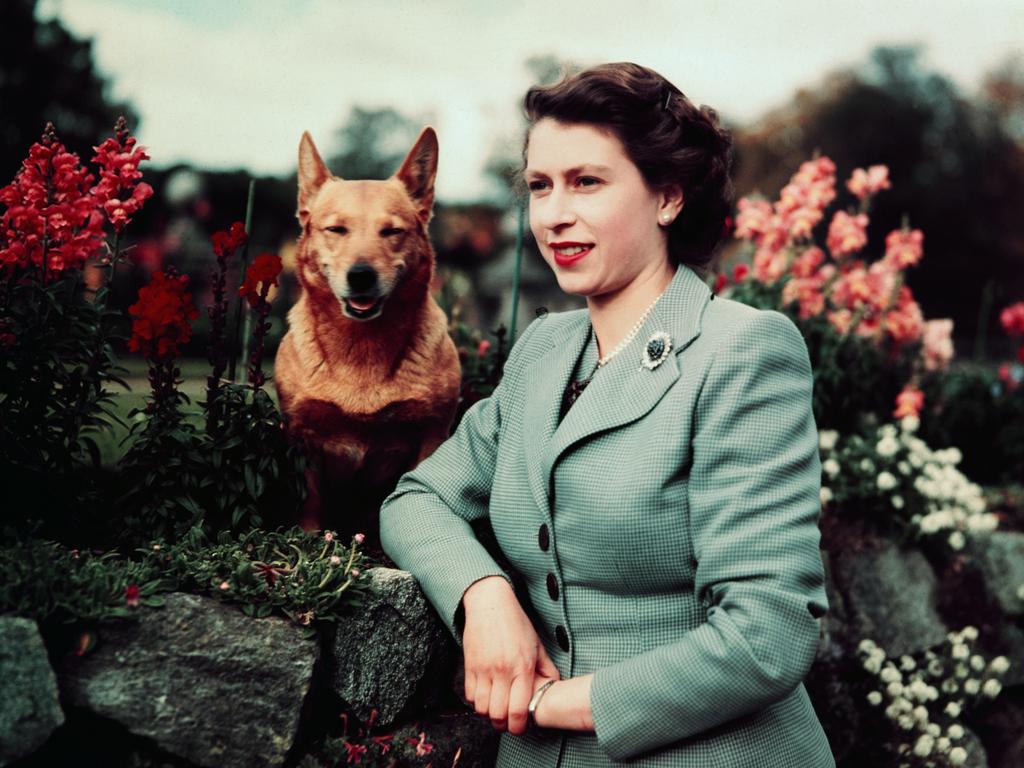 Queen Elizabeth’s love of corgis was fostered in her childhood.