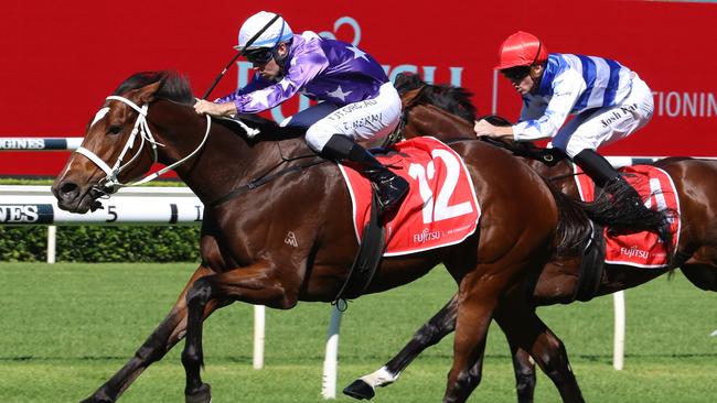 Kiku has been trialling very well ahead of his race return. Picture: Grant Guy