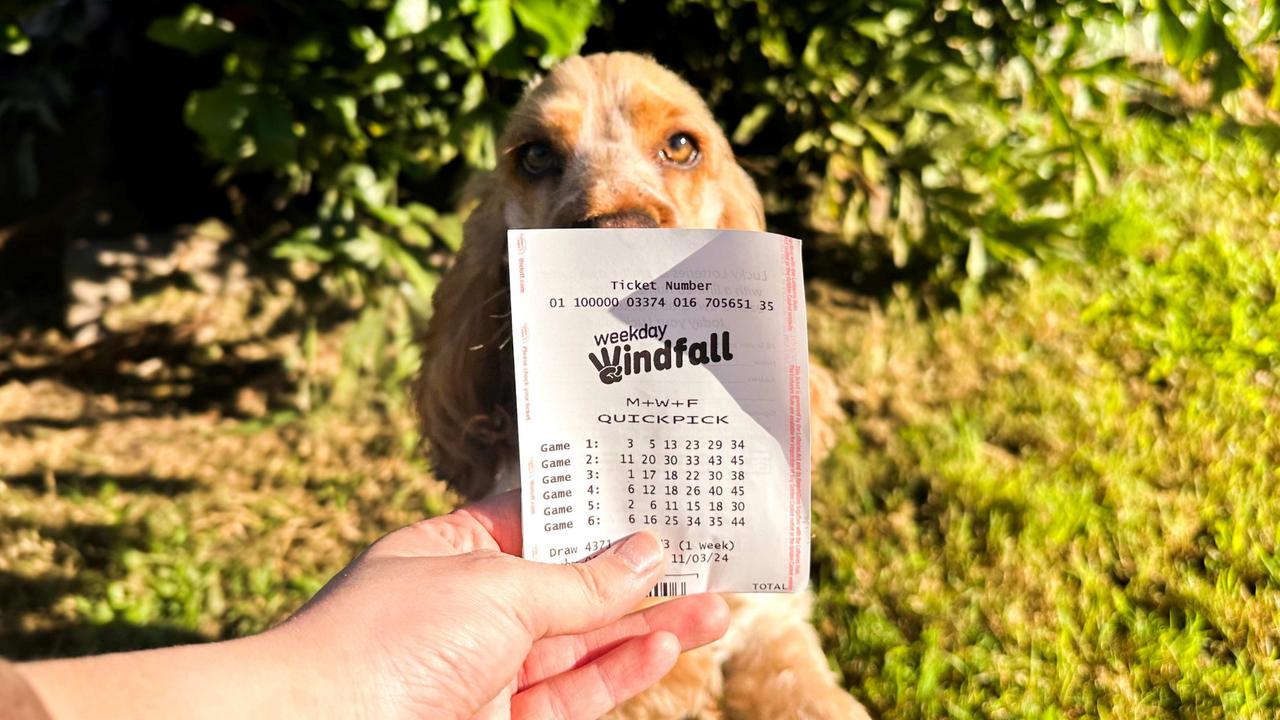 A Chinchilla man can thank his pooch for a $1m lotto win after he added the dog’s birthday to his lucky numbers. Photo: File.