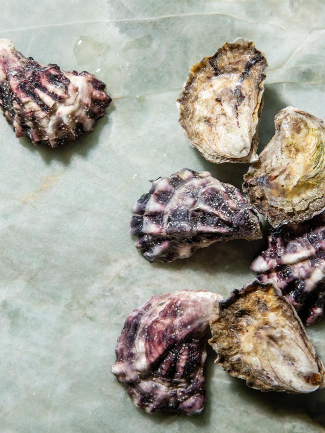 Oysters by Lennox Hastie. Photo: Nikki To