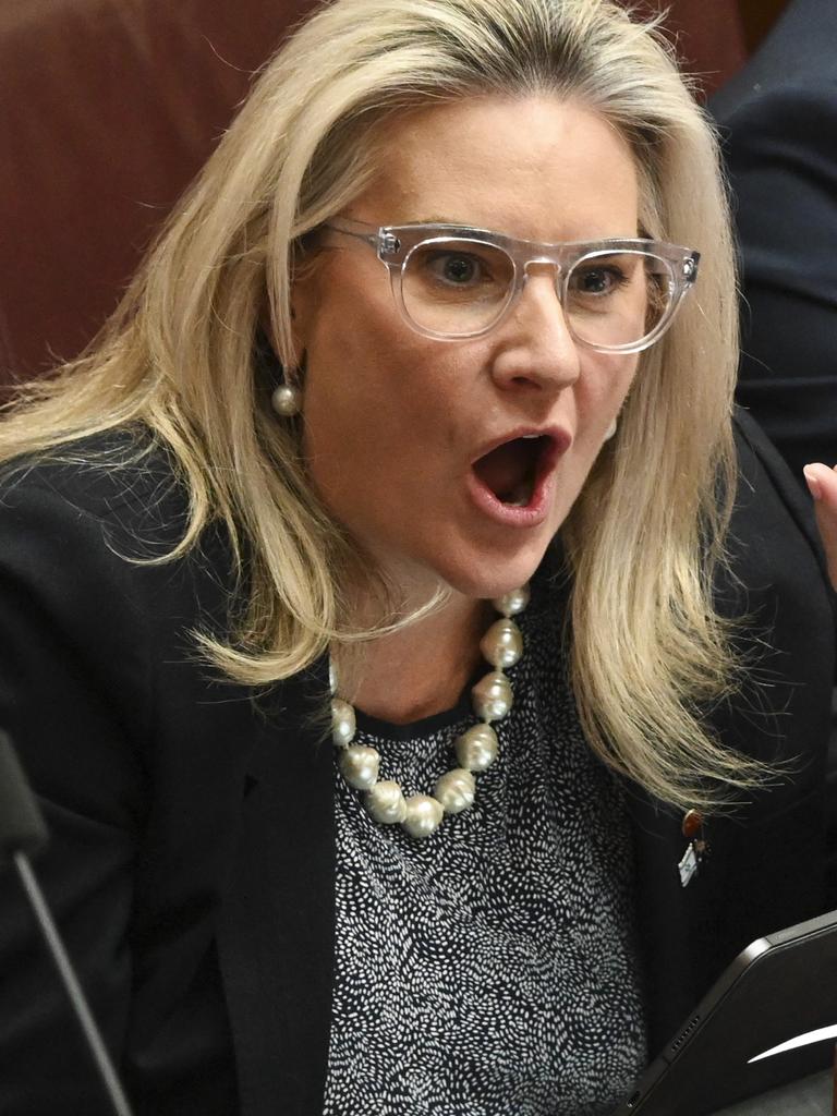 Senator Hollie Hughes. Picture: NCA NewsWire / Martin Ollman