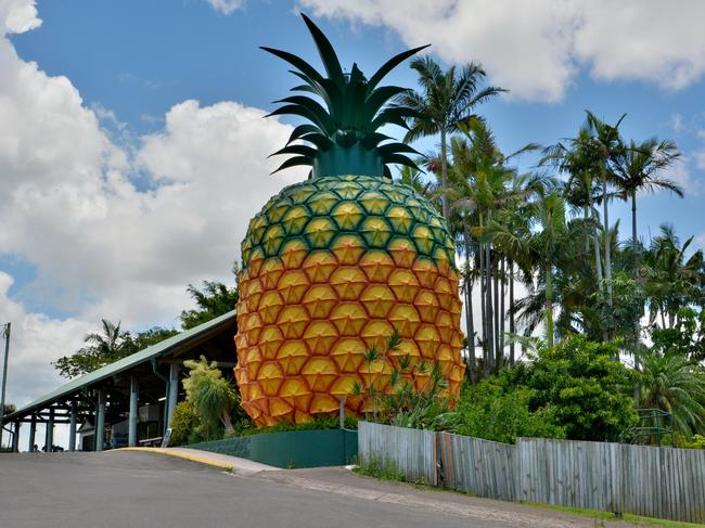 EMBARGO FOR TWAM 10 SEPTEMBER 2022. FEE MAY APPLY.  Woombye, Queensland, Australia - December 17, 2017. 16m-high Big Pineapple in Woombye, with buildings and vegetation.