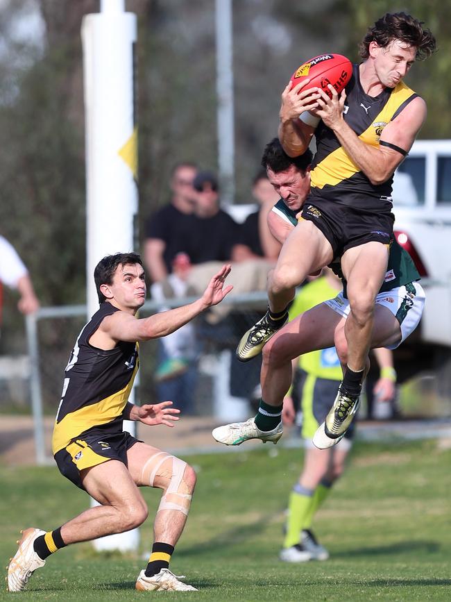 Rochester’s Shaun Atley gathers the ball in mid air.