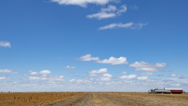 Lentil harvest at Marnoo. Picture: Zoe Phillips