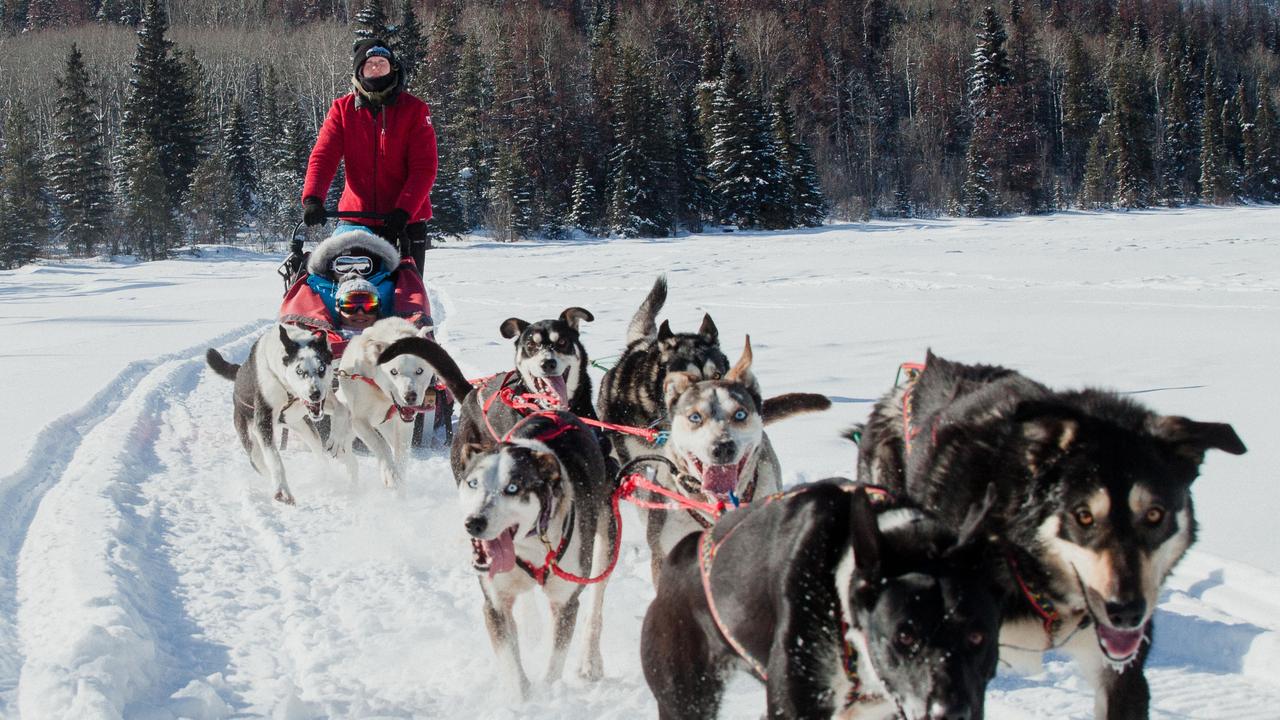 Jasper National Park, Canada: Fairmont Lodge, wildlife, skiing | escape ...