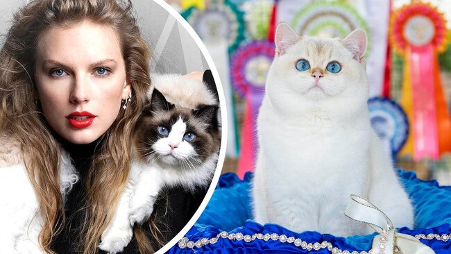 Taylor Swift and Taylor the show cat