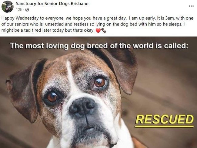 Ms Goullet runs a Sanctuary for Senior Dogs. Picture: Facebook