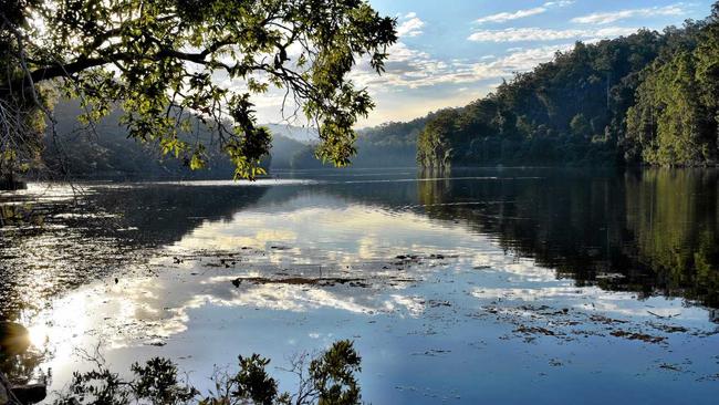 TOP CAMPING SPOTS: Iron Pot Creek campground is set among shady rainforest trees with a pristine creek for swimming, inside the Toonumbar National Park. Picture: Susanna Freymark