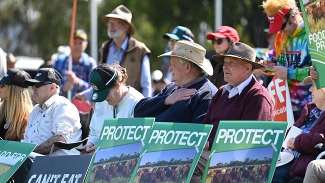 CANBERRA, AUSTRALIA. NewsWire Photos. SEPTEMBER 10, 2024. National Farmer Rally in Canberra, to protest a series of anti-farming policies set for the industry in recent times. Labor and Coalition politicians have been invited to speak at the rally, with Nationals MPs announcing their support for the movement. Picture: NewsWire/ Martin Ollman