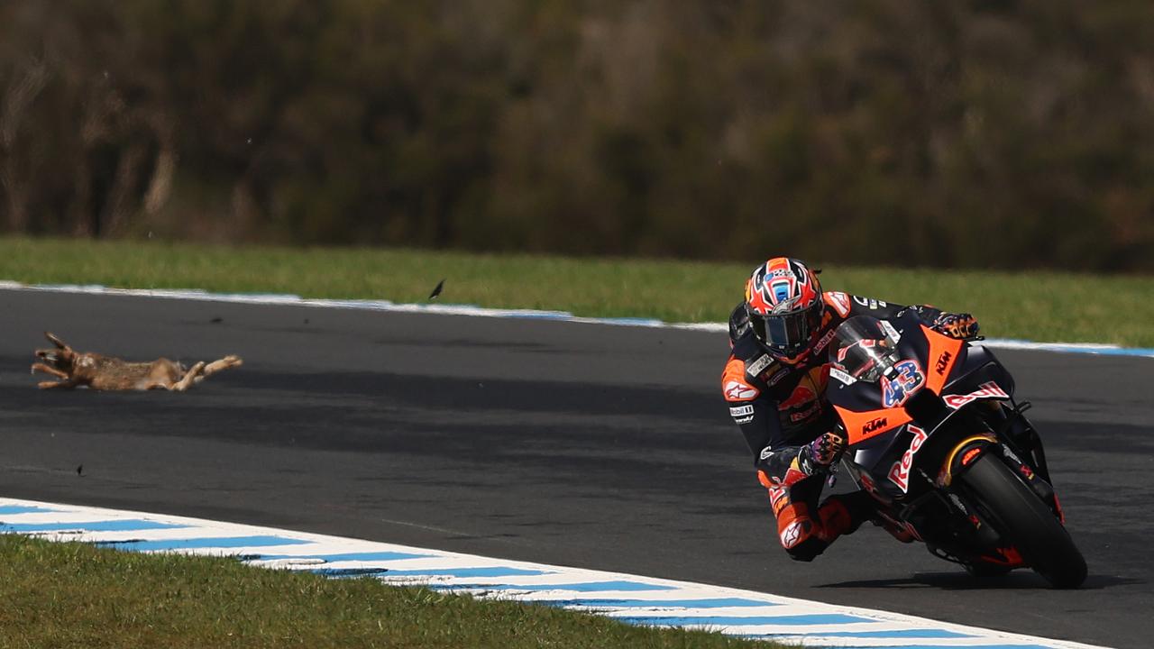 How rabbit, seagull, mishaps hurt Miller’s Aus MotoGP hopes