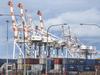 Shipping chaos could affect agriculture industry