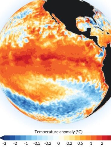 In December, waters in the eastern Pacific were warm, typical for El Nino. Picture: NOAA