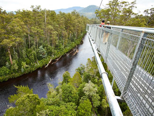 Tahune Airwalk. Picture: Princess Cruises
