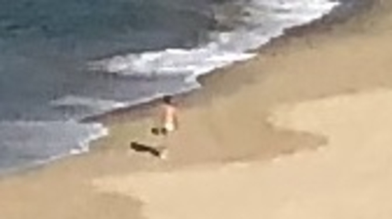 Nudist Beach Group Masturbation - Public masturbator photographed on Toyah Cordingley murder beach near  Cairns | The Cairns Post