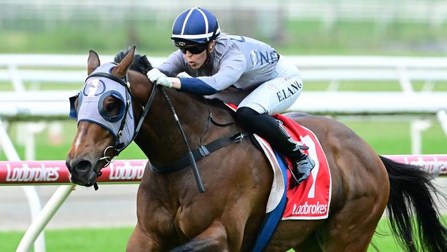 Emily Lang steers the Nick Walsh-trained gelding Hell to victory in a Class 4 race at Eagle Farm on October 12, 2024. Picture: Grant Peters Photography