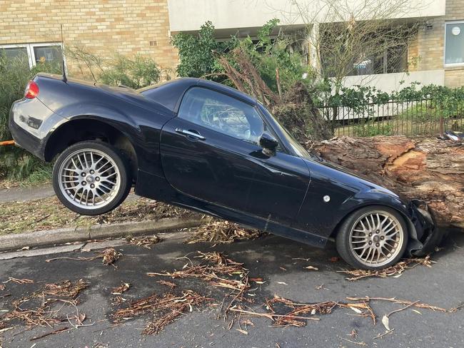 A car was crushed after a tree landed on its bonnet during a storm in Sydney on Friday night. Picture: Supplied/SES.