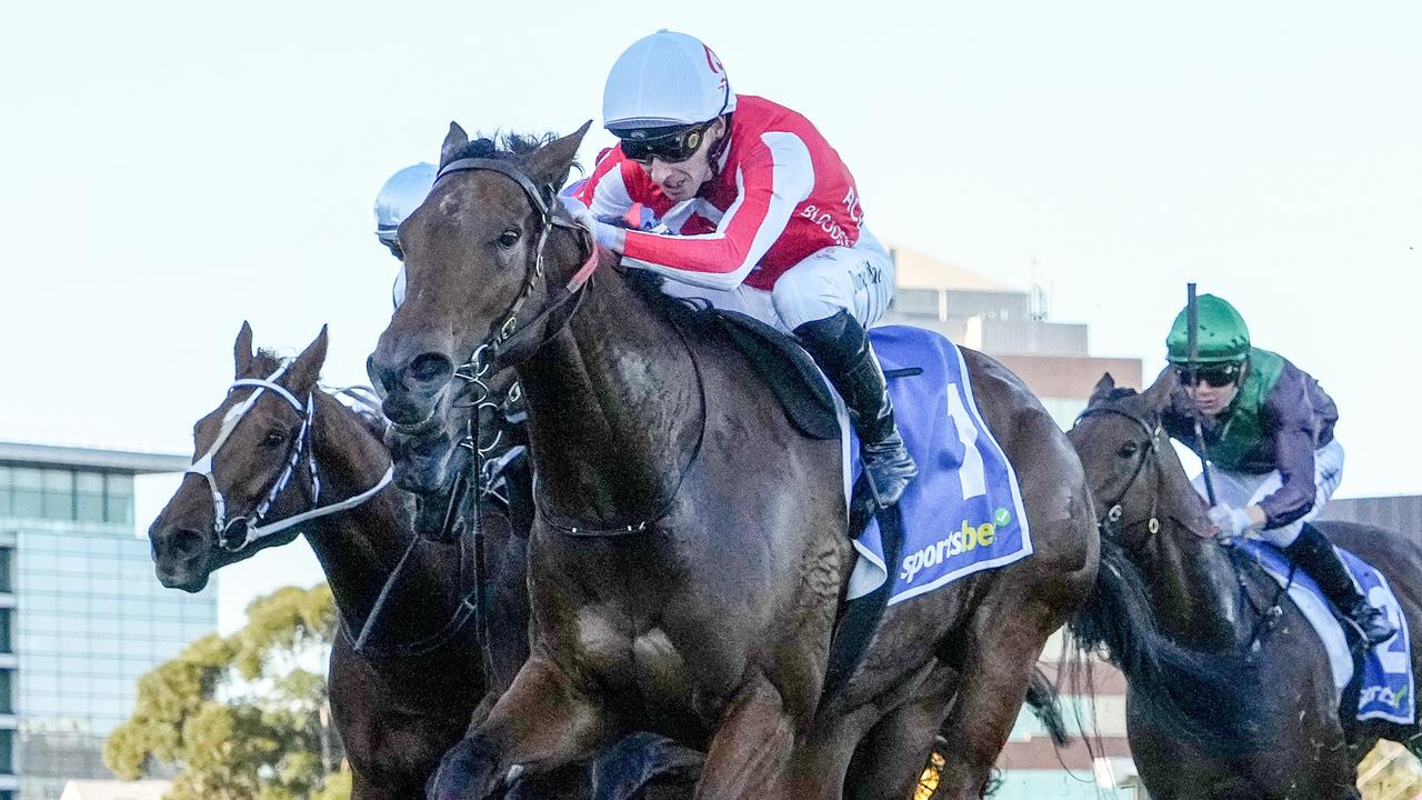 Niance will likely stay in Melbourne for her next start. Picture: Racing Photos via Getty Images
