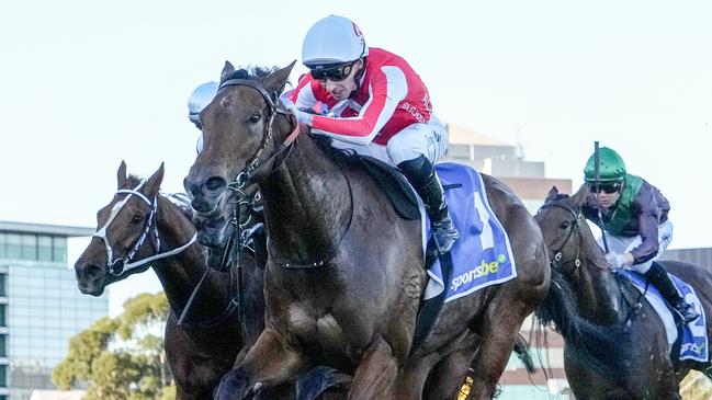 Niance will likely stay in Melbourne for her next start. Picture: Racing Photos via Getty Images