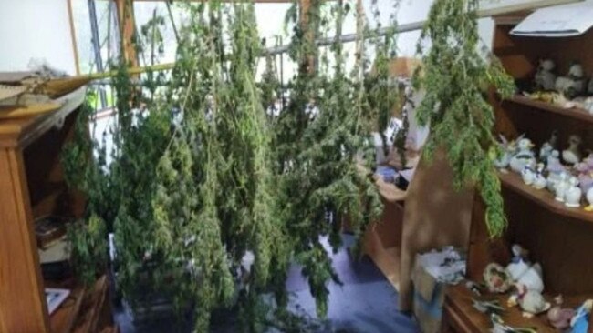 Police seized nearly 5kg of drying cannabis and 26 plants after executing a search warrant at a remote Tablelands property.