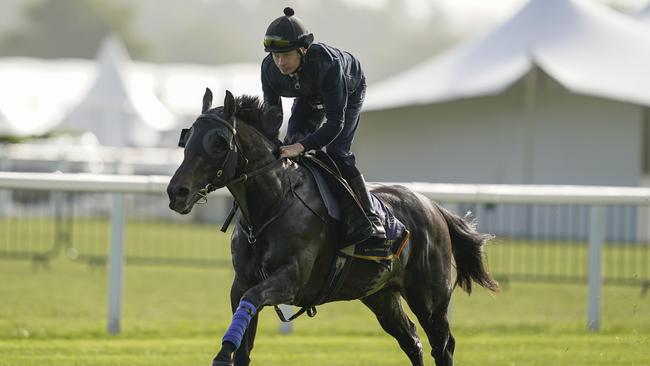 Artorius preparing at Royal Ascot in 2022. Picture: Alan Crowhurst-Getty Images