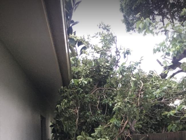 A tree on a house after Tropical Cyclone Kirrily hit Townsville: Evan Morgan