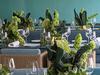 The food-inspired decor trend approved by Martha Stewart