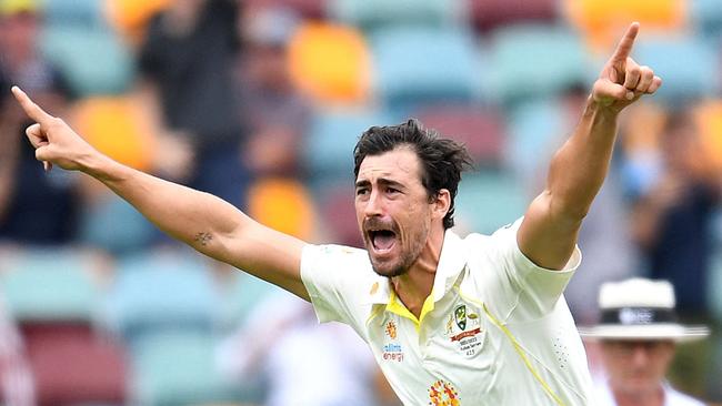 Mitchell Starc celebrates taking a wicket with his first ball on the first day of the Test