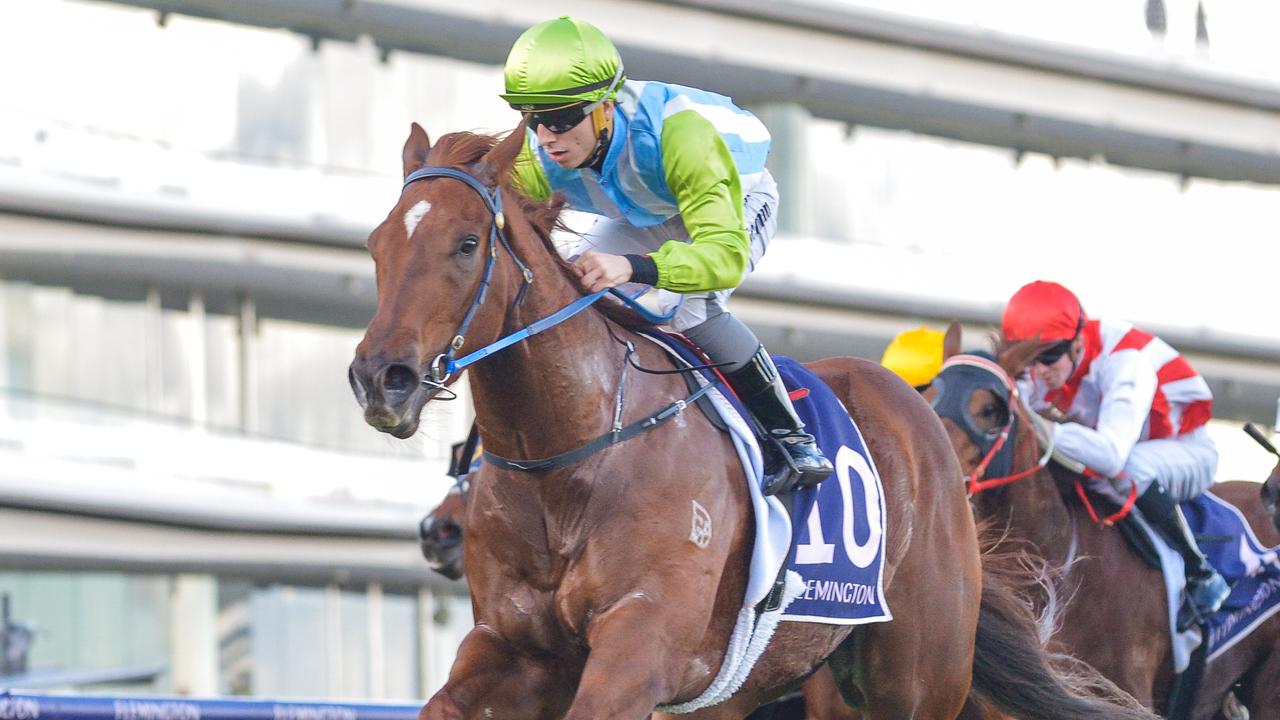 Exciting sprinter Front Page is a lightweight chance to win Saturday's Group 1 Newmarket Handicap at Flemington. Picture : Racing Photos via Getty Images.