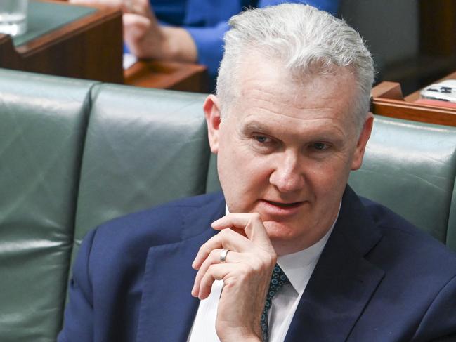 CANBERRA, Australia - NewsWire Photos - October 8, 2024: Minister for Home Affairs and Minister for the Arts, Tony Burke during Question Time at Parliament House in Canberra. Picture: NewsWire / Martin Ollman