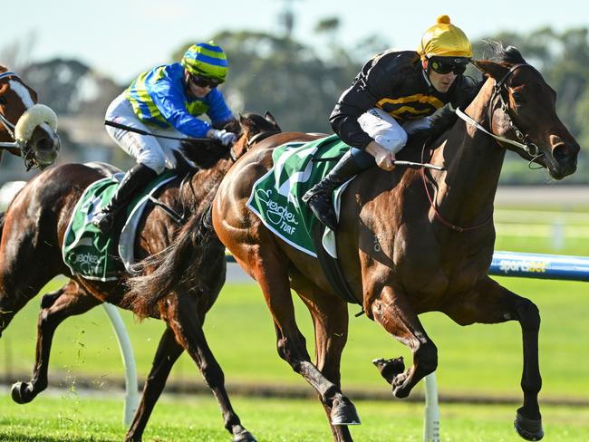 MELBOURNE, AUSTRALIA - JUNE 15: Ethan Brown riding Miss Roumbini winning Race 4, the Evergreen Turf Handicap - Betting Odds during Melbourne Racing at Sandown on June 15, 2024 in Melbourne, Australia. (Photo by Vince Caligiuri/Getty Images)