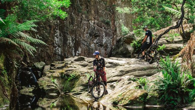 Located in temperate rainforest in North-East Tasmania, the Blue Derby Mountain Bike trails encompass some of the most stunning landscapes in Tasmania. Image: Stu Gibson.