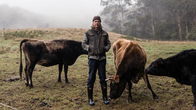 Farmer and author Matthew Evans is making the case for bringing back dairy milk. Picture: Adam Gibson