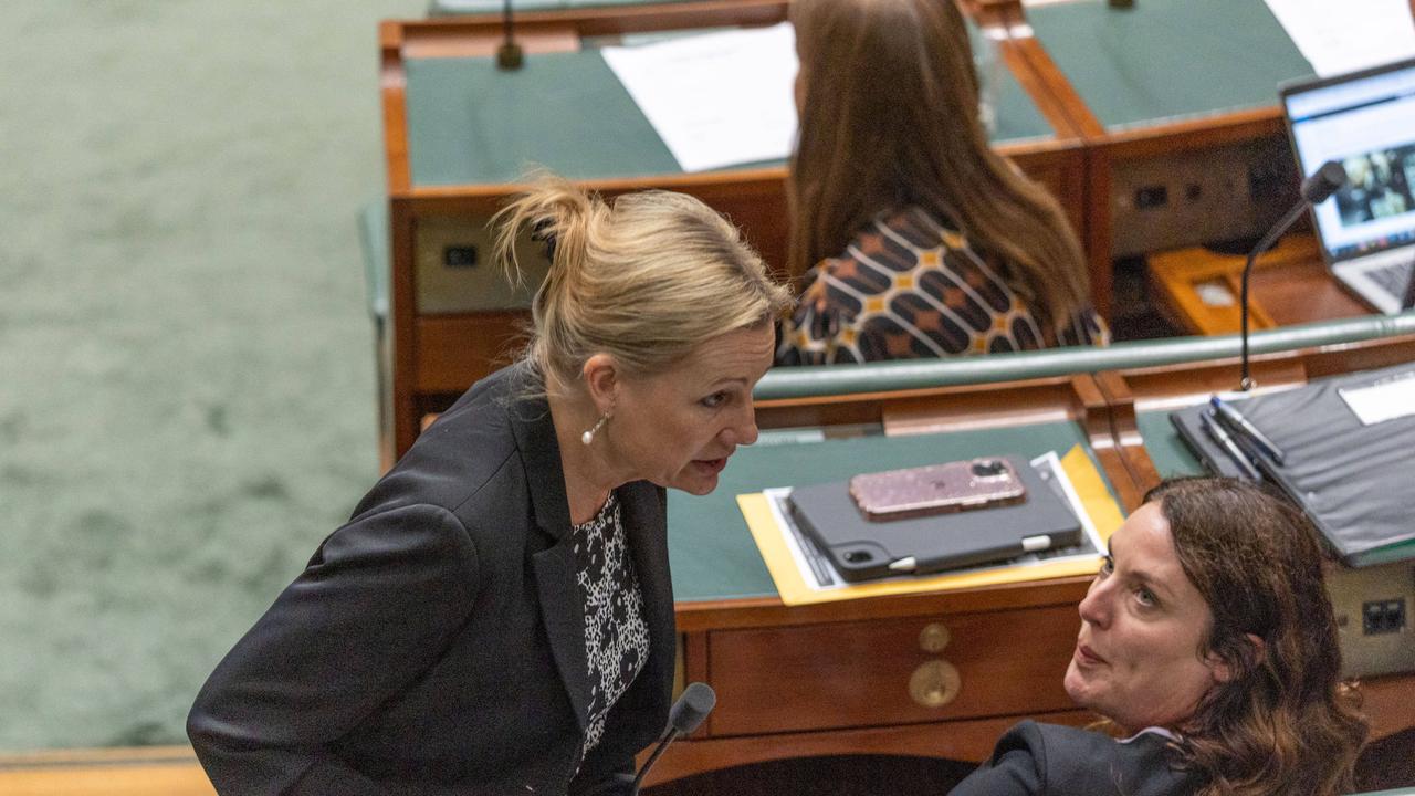 A frustrated Sussan Ley unleashed on a Labor backbencher. Picture: NCA NewsWire / Gary Ramage