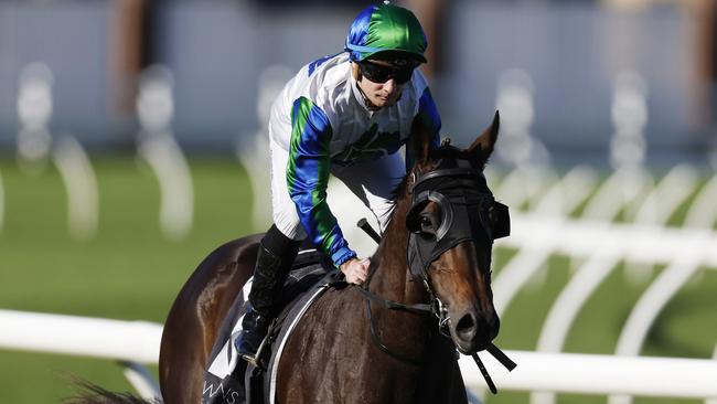 SYDNEY, AUSTRALIA - JULY 09: Reece Jones on Waihaha Falls returns to scale after winning race 7 the Bowermans Handicap during Sydney Racing at Royal Randwick Racecourse on July 09, 2022 in Sydney, Australia. (Photo by Mark Evans/Getty Images)
