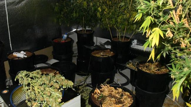 The home in Aberglasslyn where more than 300 cannabis plants were discovered. Credit: NSW Police