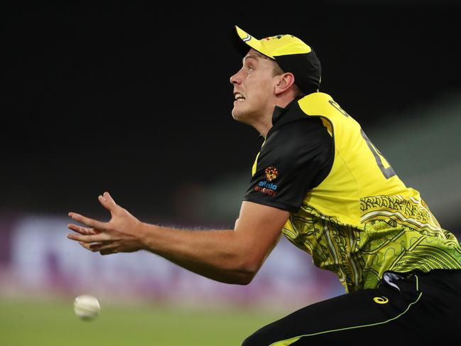 Cameron Green of Australia drops a catch during the ICC Men's T20 World Cup match between Australia and Afghanistan. Picture: Sarah Reed/Getty Images