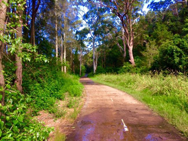 The popular walking track and cycleway is flanked in parts with dense bushland making it an ideal setting for the fake report. Picture: Facebook