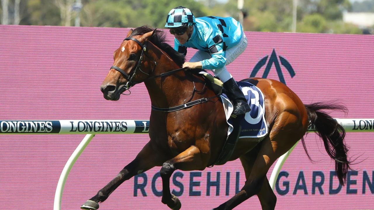 Aquis Farm gelding Maotai to ride in The Archer in Rockhampton