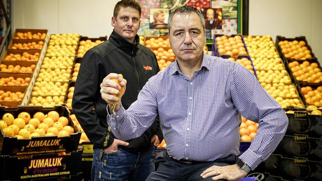 SA Produce Market chief executive Angelo Demasi with citrus specialist Pete Mercurio of Bache Bros. Picture: Mike Burton