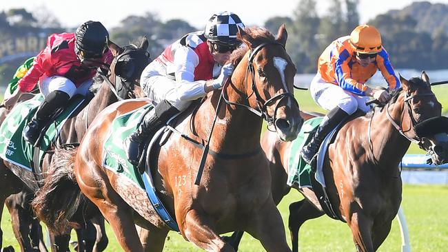 Little Miss Kubi had a flat run after winning at Sandown two starts ago. Picture: Pat Scala/Racing Photos via Getty Images