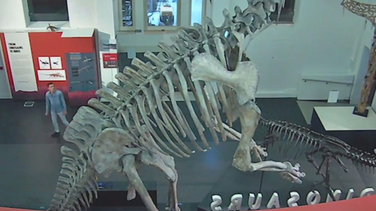 He stopped to have a look at the dinosaurs. Pictures: NSW Police/Facebook.