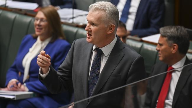 The Fair Work Commission says Labor’s industrial relations changes – under Workplace Relations Minister Tony Burke (pictured) will have a significant impact on the work of the tribunal. Picture: NCA NewsWire / Martin Ollman