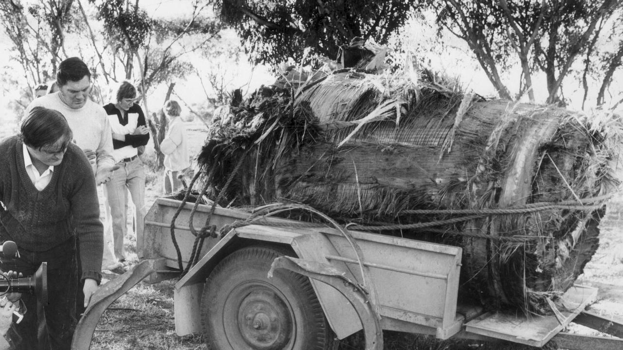 Incoming: A chunk of Skylab found near Rawlinna, Western Australia in 1979.