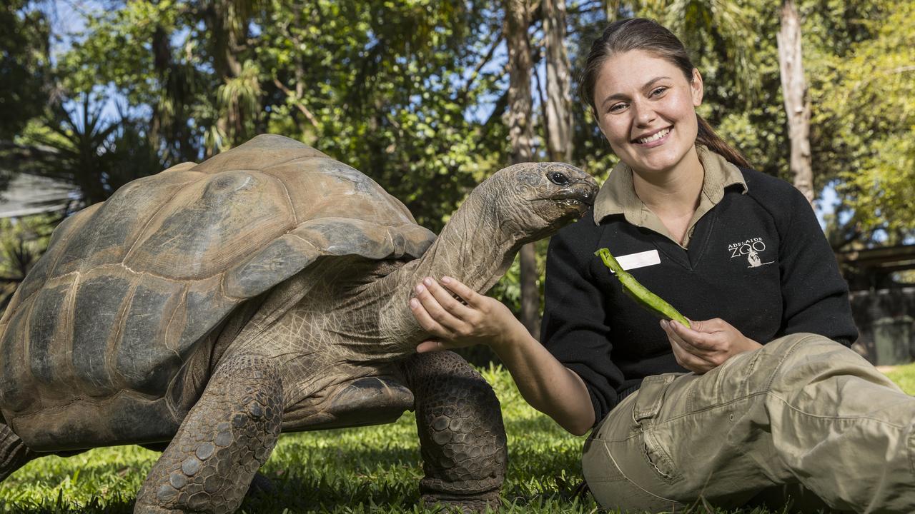 Day in the Life of an Adelaide Zookeeper | The Advertiser